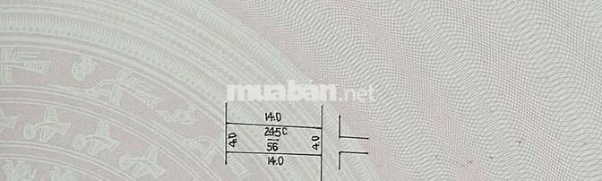 🔥 CẦN BÁN GẤP ĐẤT THƯỜNG TÍN – HÀ NỘI 🔥