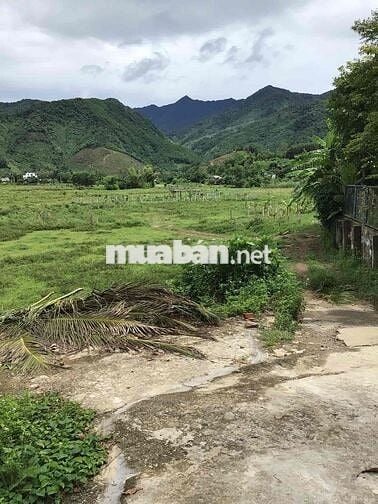 3 mảnh đất sổ đỏ Hoà Bắc, Hoà Vang, Đà Nẵng