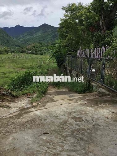3 mảnh đất sổ đỏ Hoà Bắc, Hoà Vang, Đà Nẵng