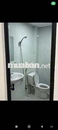 Nhà cho thuê đúc 1 tấm nhà mới