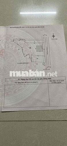 chính chủ – Thửa 382 Lê Phụng Hiểu | 3.419m² (381m² thổ cư)