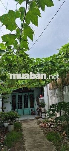 Chính chủ bán đất ngã ba Ông Xã, Tân Đông Hiệp, Dĩ An, Bình Dương