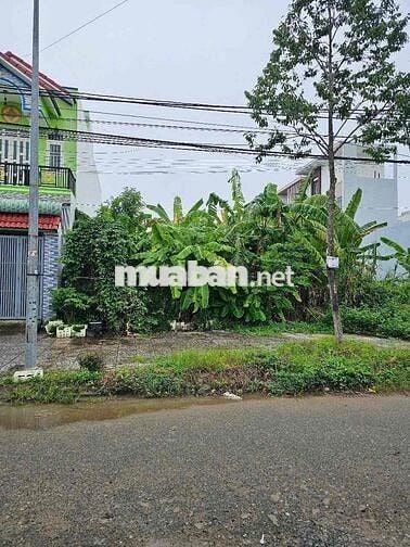 KDC BÌNH NHỰT 12Ha8 Võ Văn Kiệt