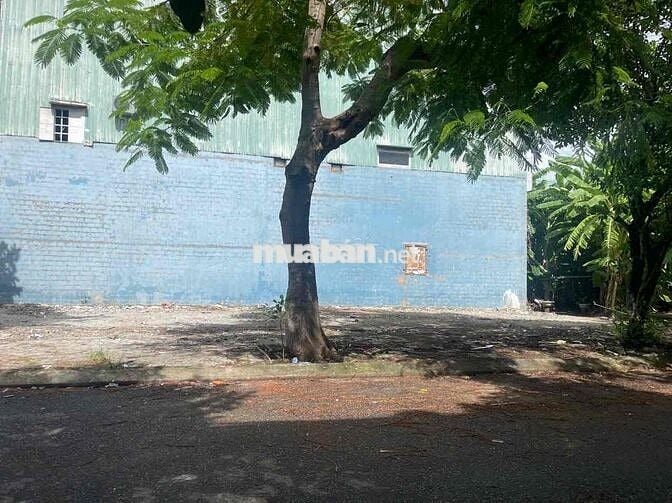 Tôi Chính Chủ bán Nhanh lô đất góc mặt tiền Nguyễn Văn Tỵ - Hoà Xuân