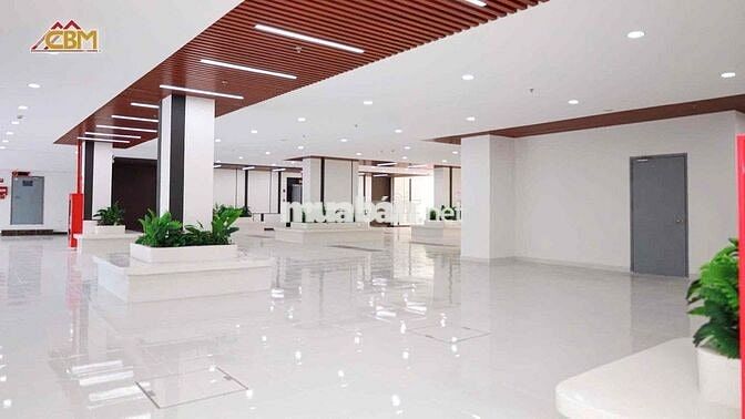 cho thuê căn studio 30m2 cc Newlavida dĩ an