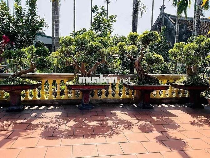 CHO THUÊ NHÀ PHƯỜNG TÂN QUÝ KHÚC GẦN TÂN SƠN NHÌ : 4 x 20 M : 2 PN