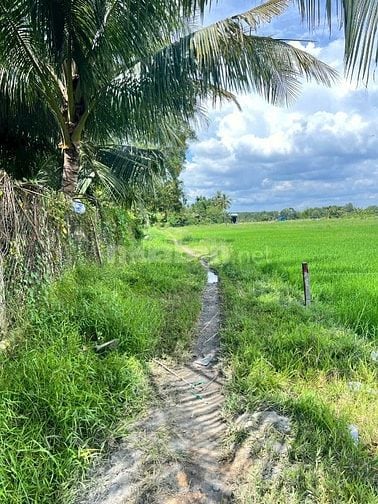 Đất phường siêu đẹp ,giá siêu ngộp, 500m2 chỉ 7xx tr 