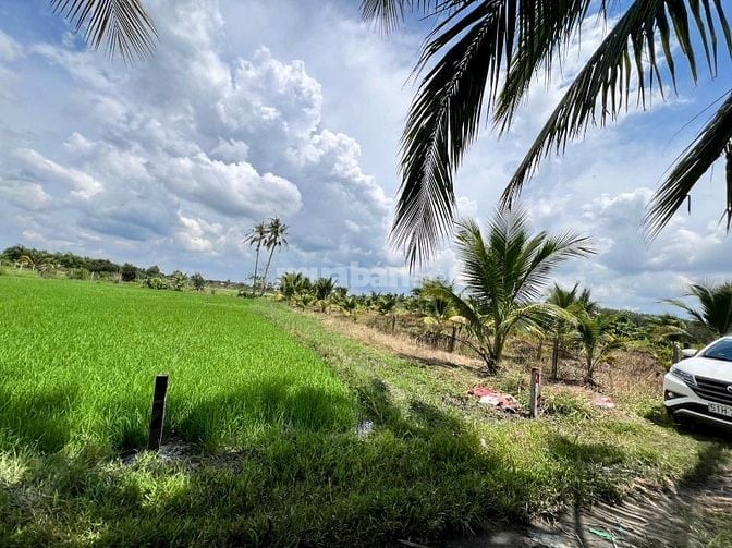 Đất phường siêu đẹp ,giá siêu ngộp, 500m2 chỉ 7xx tr 