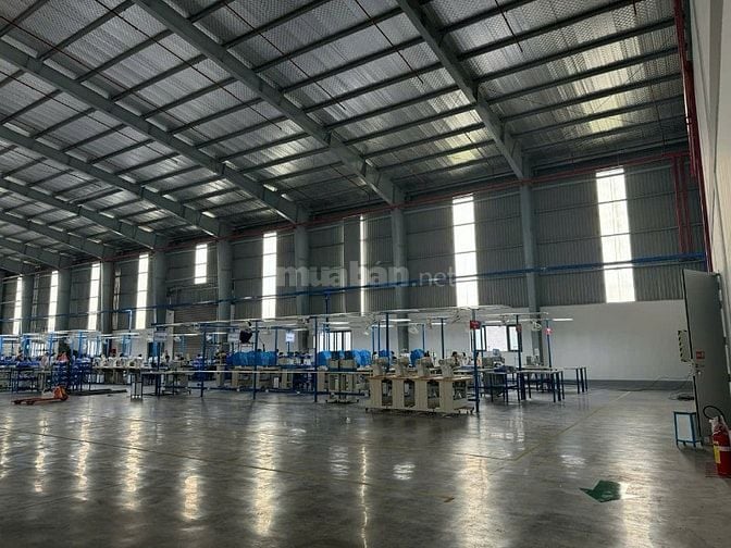 Kho chứa hàng tổng dt 4300 m2 , kho 2160 m2 Thạnh Phú ,Bến Lức Long an