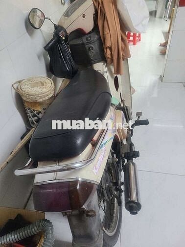 Xác max Kawasaki nhật