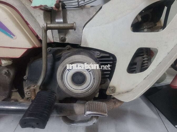 Xác max Kawasaki nhật
