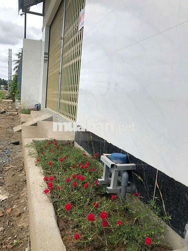 Cho thuê 2 căn nhà mặt tiền của gác lửng mới xây