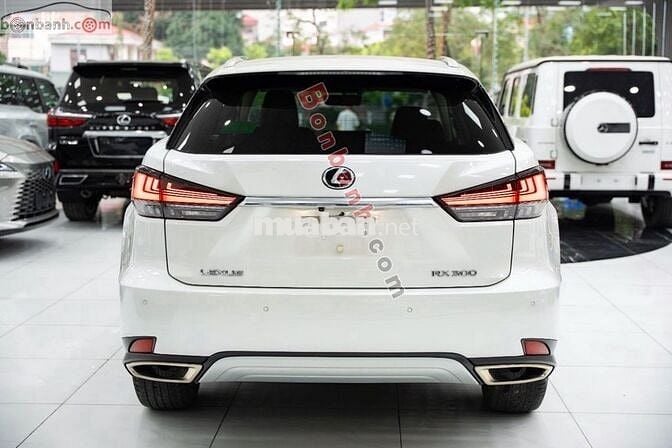 Lexus RX 300 2021