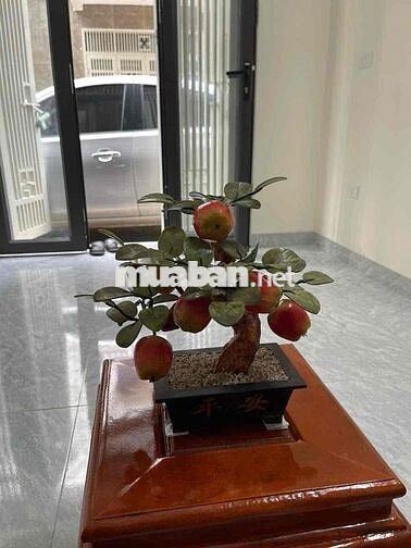 Cần bán shophouse 3 tầng 44.3m2 tại Phụng Châu (Chương Mỹ)