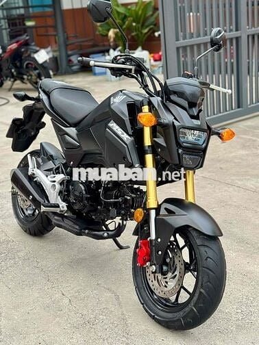 Honda Msx 125 zin  đẹp chính chủ mới về