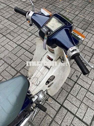 Cup 50cc