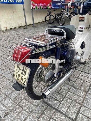 Cup 50cc