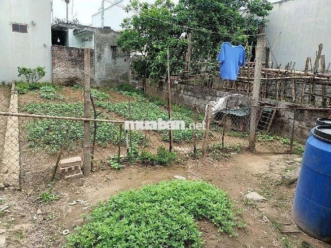 MẶT ĐƯỜNG LỚN – GẦN TRƯỜNG CHỢ TRỤC ĐƯỜNG CHÍNH - Ở ĐẦU TƯ. 5.45 tỷ