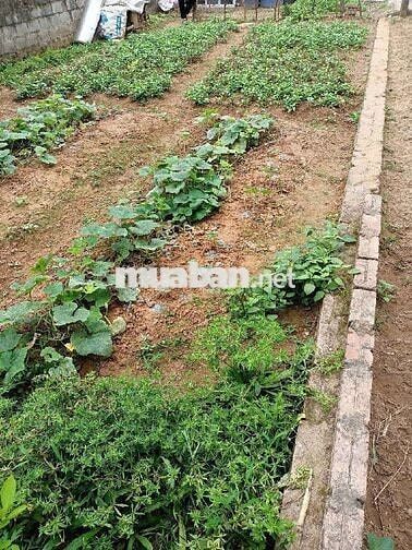 MẶT ĐƯỜNG LỚN – GẦN TRƯỜNG CHỢ TRỤC ĐƯỜNG CHÍNH - Ở ĐẦU TƯ. 5.45 tỷ