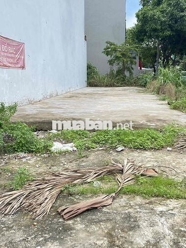 ĐẤT HIẾM! Hẻm Xe Hơi Tránh, gần chợ Phú Thuận. Ngang khủng - 95m2