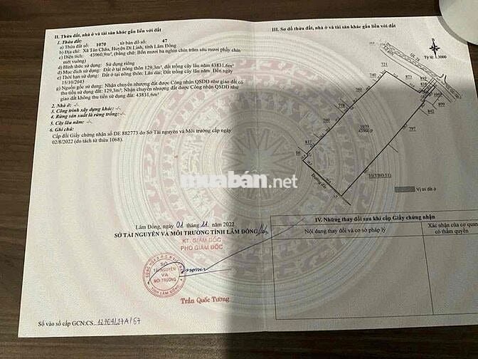 Đất sổ hồng, thổ cư mặt tiền Tỉnh lộ 725 xã Tân Châu, Di Linh,Lâm Đồng