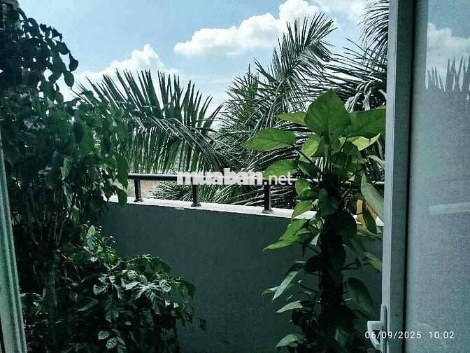 🏠 BÁN CĂN HỘ CHUNG CƯ TẠI KHU ĐÔ THỊ MỄ TRÌ – VỊ TRÍ ĐẸP, GIÁ TỐT