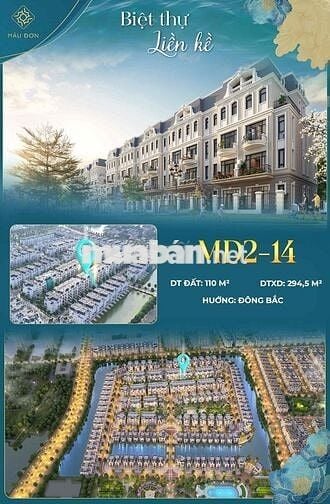 Cần bán căn liền khu Mẫu Đơn Vinhome Đông hải