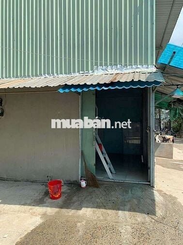 Cho thuê phòng lớn Bùi Tư Toàn, Bình Tân