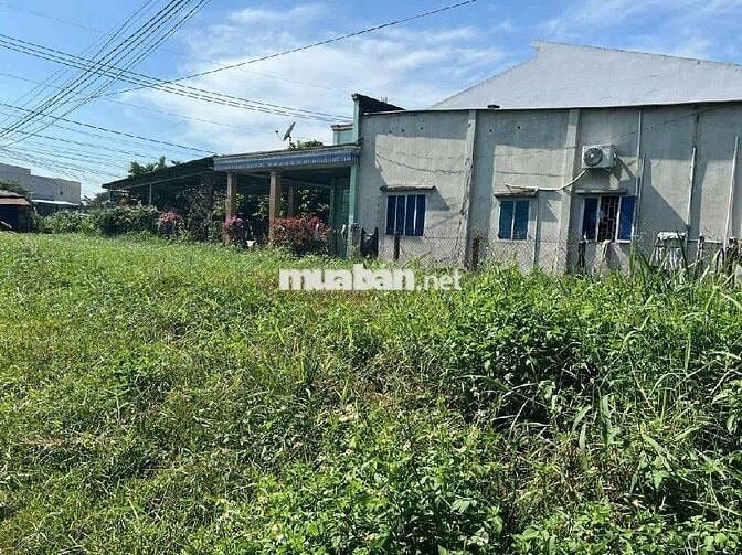 CHỊ EM CẦN TIỀN BÁN GẤP GIẢM MẠNH ĐẤT FULTHỔ CƯ CỦ CHI GIÁ CHỈ 7T.R/M2