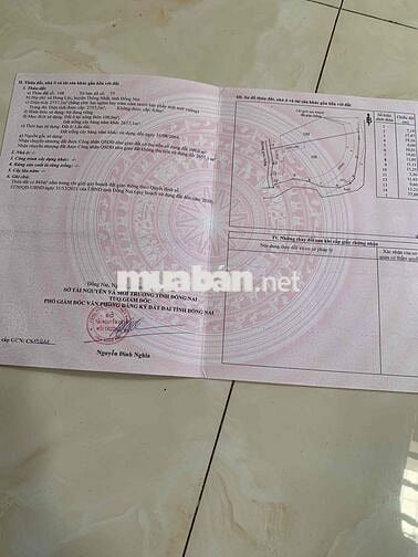 Đất lớn phủ hồng có thổ cư đường ô tô KDC xã Dầu Giây