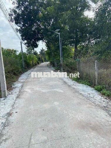 CẦN BÁN ĐẤT THỔ CƯ CHÍNH CHỦ XÃ BÌNH CHÂU
