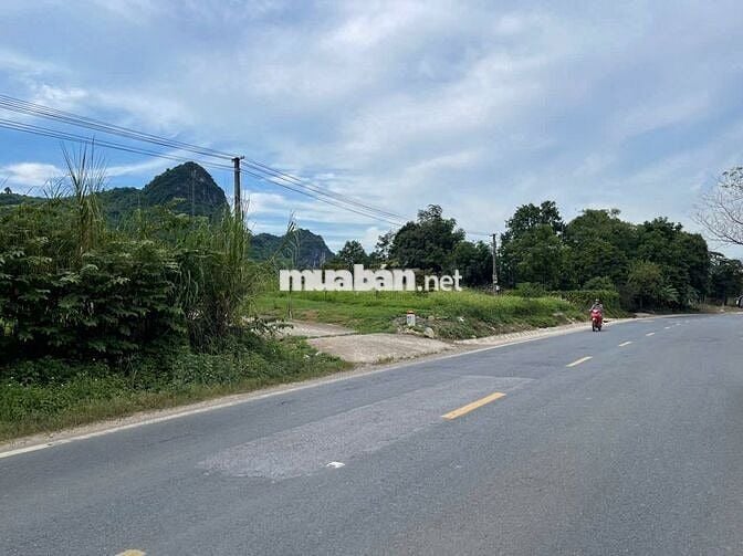 Bán Mảnh Đất QL6 CaoPhong, Tỉnh Phú Thọ