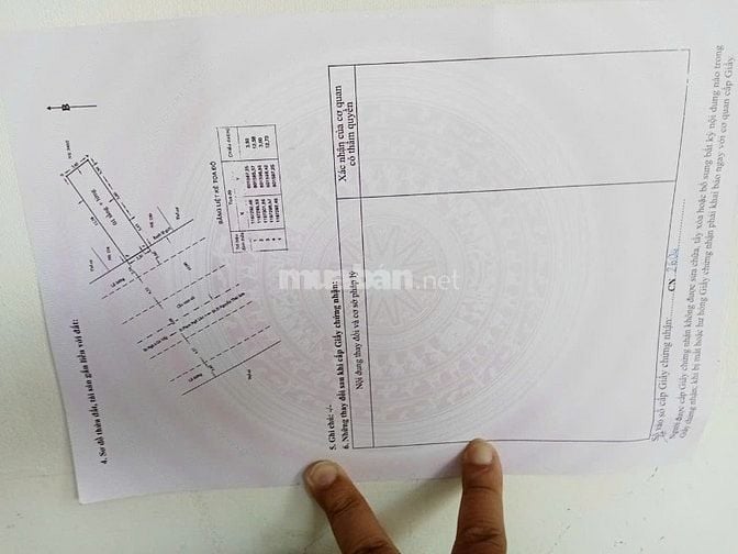 Bán nhà mặt tiền 232 Phạm Ngũ Lão Gò Vấp giá đầu tư 7.9 tỷ 