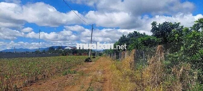 ĐẤT ĐẸP GIÁ SIÊU RẺ HẺM TẢN ĐÀ _ BẢO LỘC
