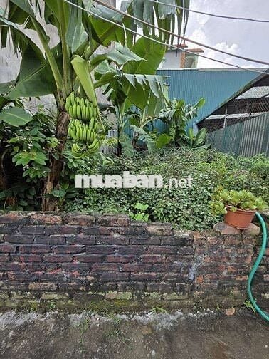 Bán đất thổ cư , nhỉnh 3 tỷ × 40m, ô tô vào đất, cách 1 nhà ô tô tránh