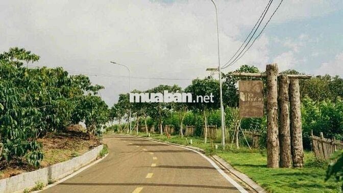 💥 BÁN ĐẤT NỀN THỔ CƯ  LÂM ĐỒNG - GIÁ RẺ - SỔ RIÊNG 💥