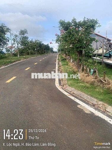 💥 BÁN ĐẤT NỀN THỔ CƯ  LÂM ĐỒNG - GIÁ RẺ - SỔ RIÊNG 💥