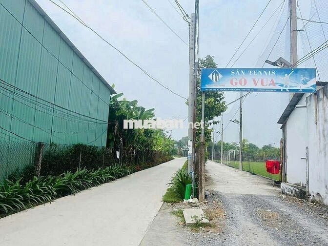 Đất519m thổ+913,8m lúa = dt 1432,8m giá 6tỷ tân Bửu hữu trí bến lức,