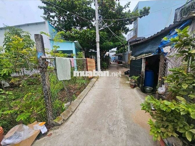 Đất thổ cư chính chủ - Cần Giờ