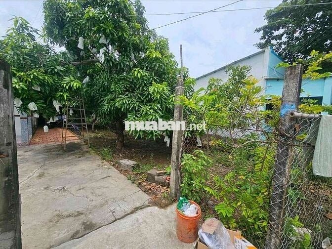 Đất thổ cư chính chủ - Cần Giờ