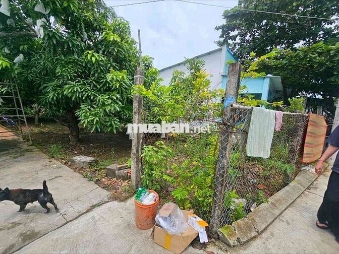 Đất thổ cư chính chủ - Cần Giờ