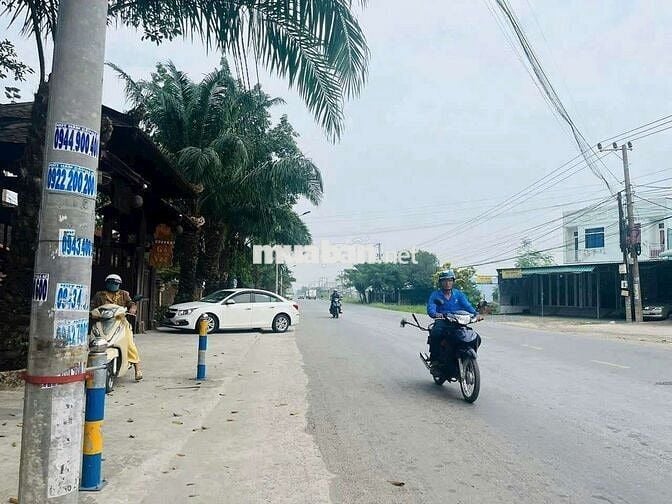 Đất519m thổ+913,8m lúa = dt 1432,8m giá 6tỷ tân Bửu hữu trí bến lức,