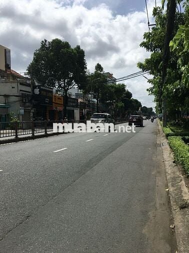 Cho Thuê Nha Nguyên Căn 142 Bàu Cát Phường 14 Tân Bình. Giá 33Tr