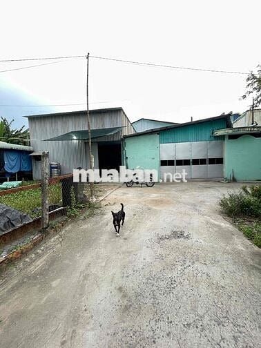 Cho Thuê Xưởng 250 Mét Vuông, Hóc Môn