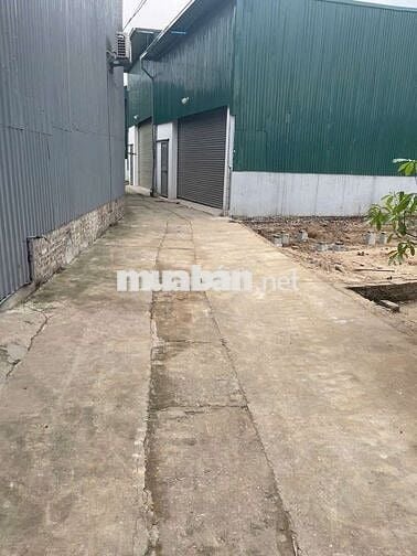NGỌC HỒI – ĐẤT ĐẸP 55M² Ô TÔ ĐỖ – SÁT TRỤC LIÊN XÃ,XE BUÝT 4.45 tỷ