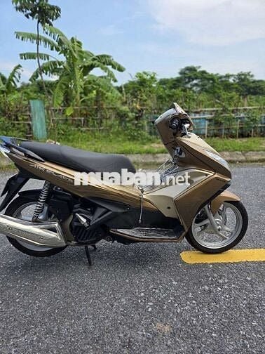 Ab 2015 cọp chủ phố