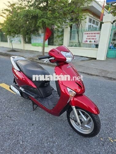 Laed 2011 zin tuyệt đối