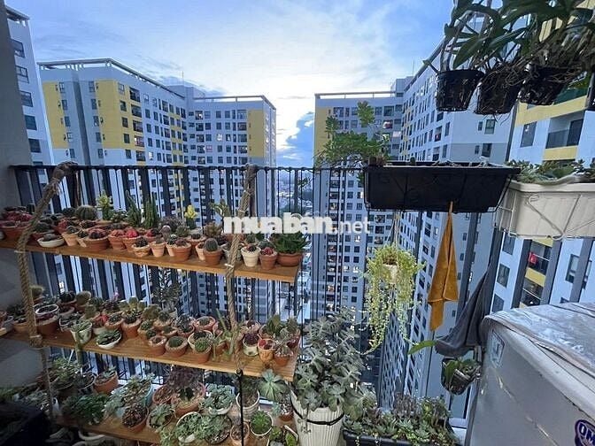 CHÍNH CHỦ MUỐN CHO THUÊ CĂN HỘ BCONS GARDEN