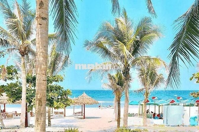 Chính chủ rao bán nhà đường Lê Duẩn - Tuyến phố sầm uất nhất Đà Nẵng