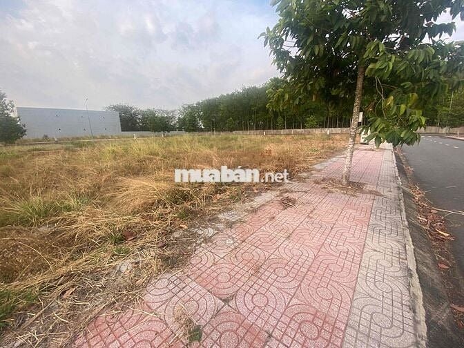 Cần bán 2 lô đất Sổ riêng Full thổ cư